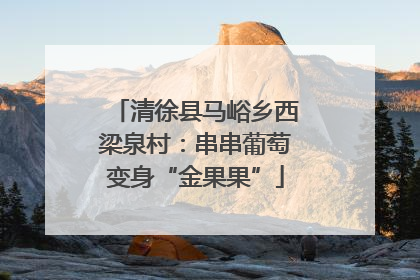 清徐县马峪乡西梁泉村：串串葡萄变身“金果果”