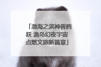 渤海之滨神兽腾跃 渔岛幻夜宇宙点燃文旅新篇章