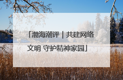 渤海潮评｜共建网络文明 守护精神家园
