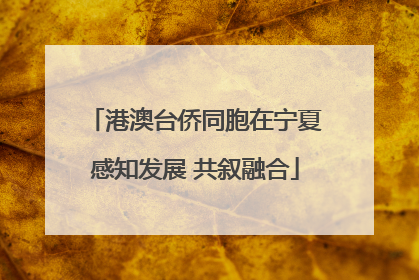 港澳台侨同胞在宁夏感知发展 共叙融合