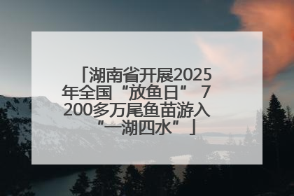 湖南省开展2025年全国“放鱼日” 7200多万尾鱼苗游入“一湖四水”