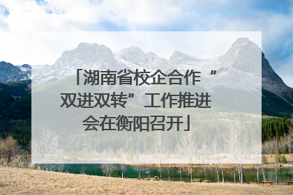 湖南省校企合作“双进双转”工作推进会在衡阳召开