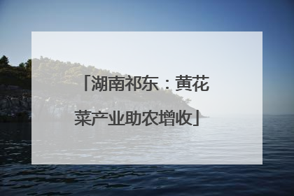 湖南祁东：黄花菜产业助农增收