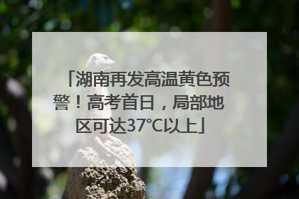 湖南再发高温黄色预警！高考首日，局部地区可达37℃以上