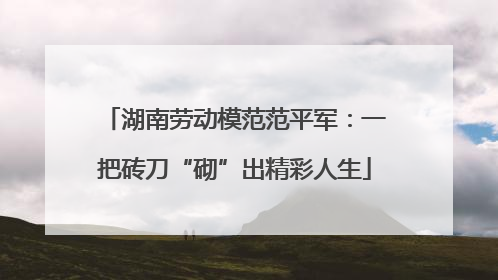 湖南劳动模范范平军：一把砖刀“砌”出精彩人生