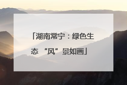 湖南常宁：绿色生态 “风”景如画
