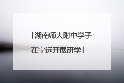 湖南师大附中学子在宁远开展研学