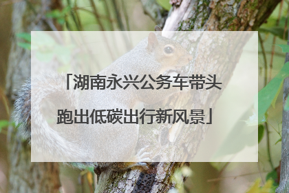 湖南永兴公务车带头跑出低碳出行新风景