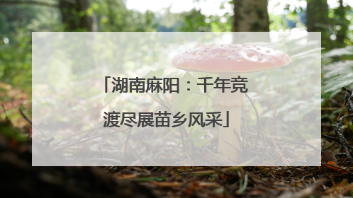 湖南麻阳：千年竞渡尽展苗乡风采
