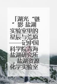 湖光“链”影 盐湖实验室里的星辰与荒原——记中国科学院青海盐湖研究所，盐湖资源化学实验室党总支书记、副主任刘忠