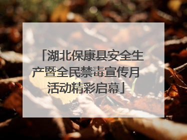 湖北保康县安全生产暨全民禁毒宣传月活动精彩启幕