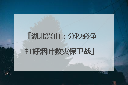 湖北兴山：分秒必争 打好烟叶救灾保卫战