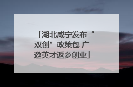 湖北咸宁发布“双创”政策包 广邀英才返乡创业