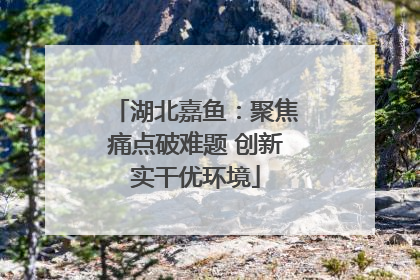 湖北嘉鱼：聚焦痛点破难题 创新实干优环境