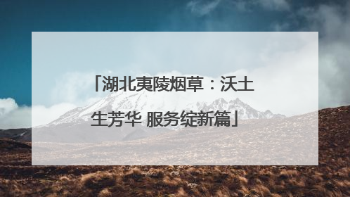 湖北夷陵烟草：沃土生芳华 服务绽新篇