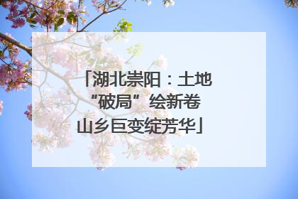 湖北崇阳：土地“破局”绘新卷 山乡巨变绽芳华