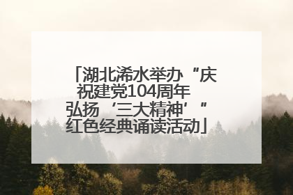 湖北浠水举办“庆祝建党104周年 弘扬‘三大精神’”红色经典诵读活动