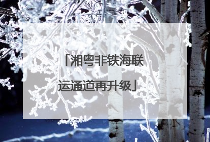 湘粤非铁海联运通道再升级