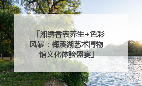 湘绣香囊养生+色彩风暴：梅溪湖艺术博物馆文化体验盛宴