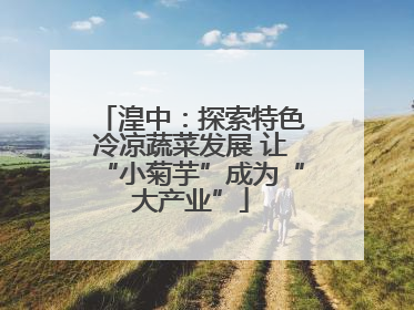 湟中：探索特色冷凉蔬菜发展 让“小菊芋”成为“大产业”