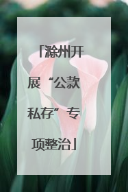 滁州开展“公款私存”专项整治
