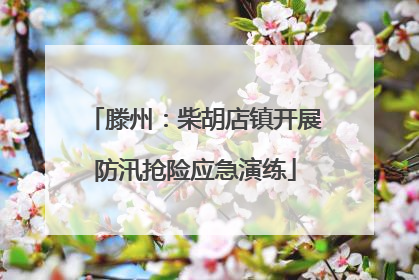 滕州：柴胡店镇开展防汛抢险应急演练