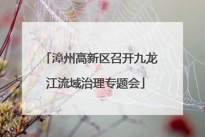 漳州高新区召开九龙江流域治理专题会