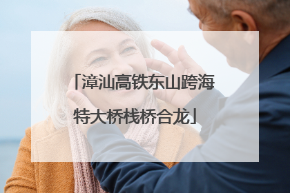 漳汕高铁东山跨海特大桥栈桥合龙
