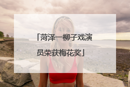 菏泽一柳子戏演员荣获梅花奖