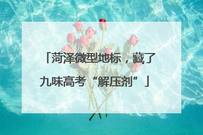 菏泽微型地标，藏了九味高考“解压剂”