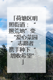 荷塘区明照街道：“撂荒地”变“爱心菜园” 志愿者携手种下“增收希望”