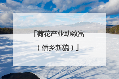 荷花产业助致富（侨乡新貌）