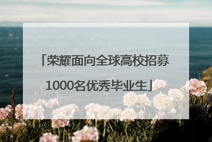荣耀面向全球高校招募1000名优秀毕业生