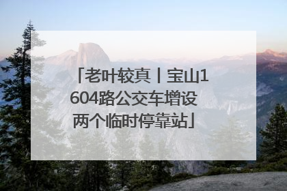 老叶较真丨宝山1604路公交车增设两个临时停靠站