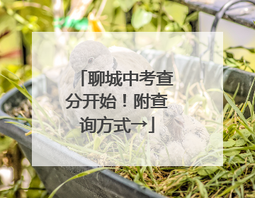 聊城中考查分开始！附查询方式→