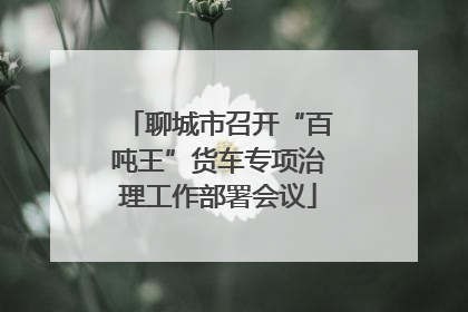 聊城市召开“百吨王”货车专项治理工作部署会议