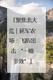 聚焦北大荒｜延军农场：飞防出击 “一喷多效”