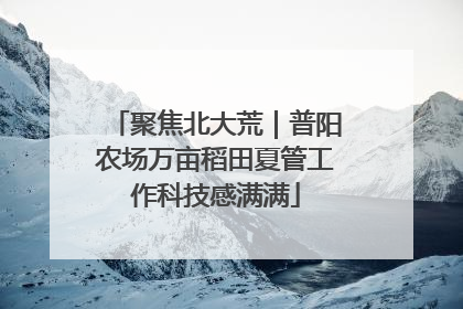 聚焦北大荒｜普阳农场万亩稻田夏管工作科技感满满