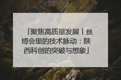 聚焦高质量发展丨丝博会里的技术脉动：陕西科创的突破与想象