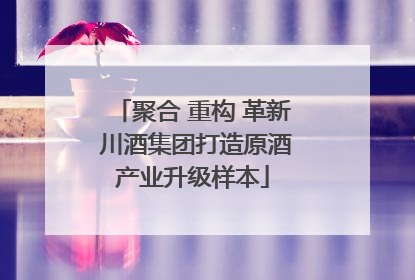 聚合 重构 革新 川酒集团打造原酒产业升级样本