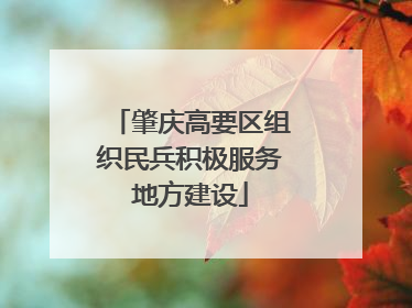 肇庆高要区组织民兵积极服务地方建设