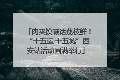 肉夹馍喊话荔枝鲜！“十五运·十五城”西安站活动圆满举行