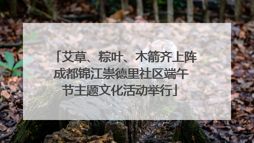艾草、粽叶、木箭齐上阵 成都锦江崇德里社区端午节主题文化活动举行