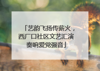 艺韵飞扬传薪火，西厂口社区文艺汇演奏响爱党强音
