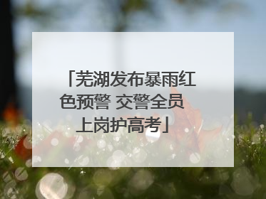 芜湖发布暴雨红色预警 交警全员上岗护高考
