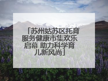 苏州姑苏区托育服务健康市集欢乐启幕 助力科学育儿新风尚