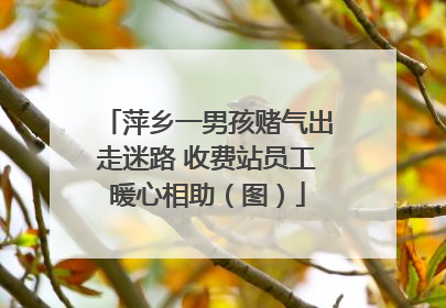萍乡一男孩赌气出走迷路 收费站员工暖心相助（图）