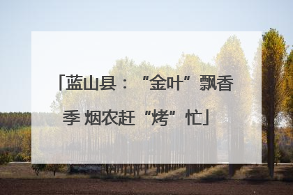 蓝山县：“金叶”飘香季 烟农赶“烤”忙