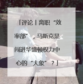 评论丨离职“效率部”，马斯克是闯进华盛顿权力中心的“大象”？