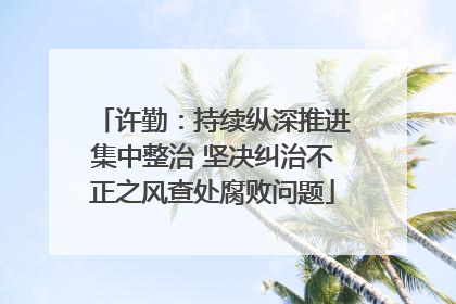 许勤：持续纵深推进集中整治 坚决纠治不正之风查处腐败问题